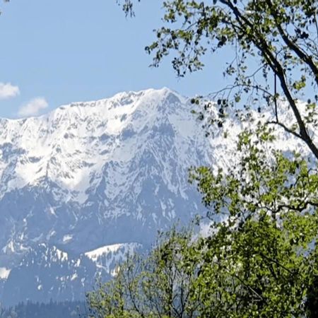 Panoramahaus Hopfner Naehe Zugspitze Und Eibsee Garmisch-Partenkirchen Eksteriør billede